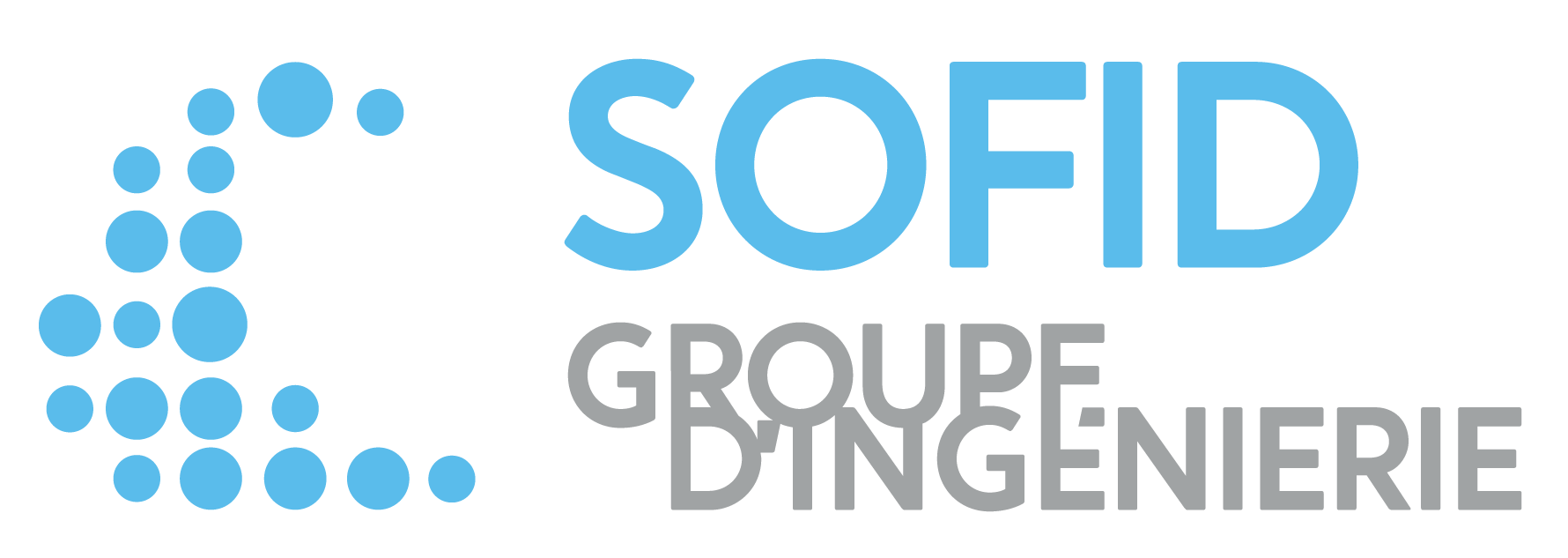 Logo Sofid